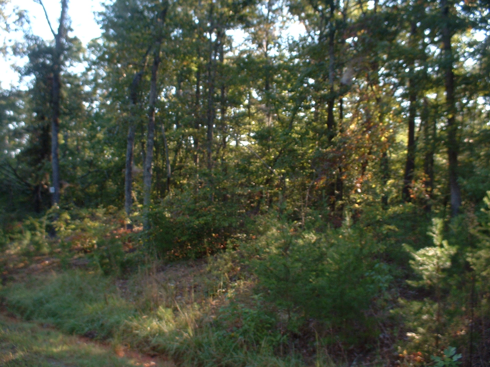 North Carolina Real Estate for Sale